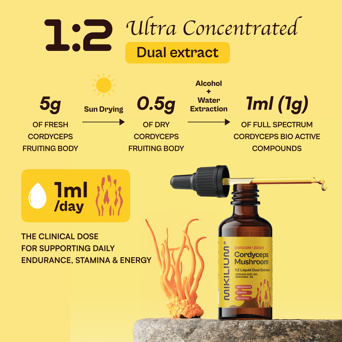 Shroom Zoom - Cordyceps Mushroom Liquid Dual Extract