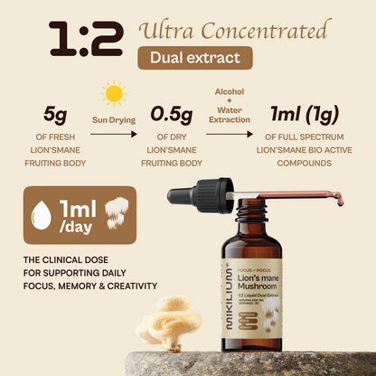 Focus Pocus - Lion's Mane Mushroom Liquid Dual Extract