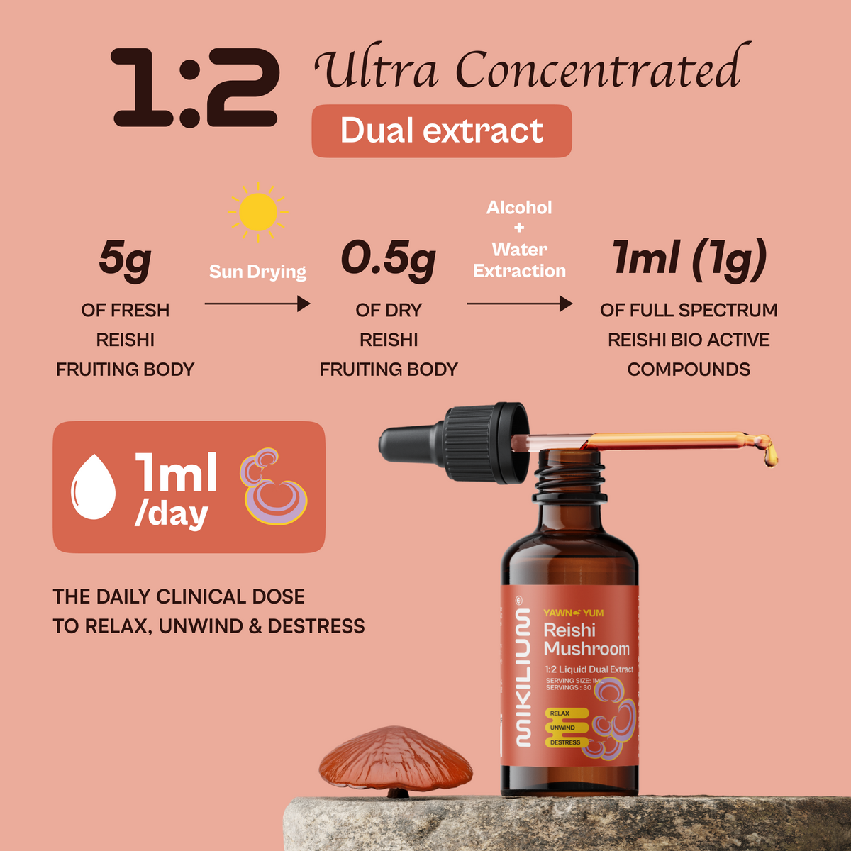 Yawn Yum - Reishi Mushroom Liquid Dual Extract