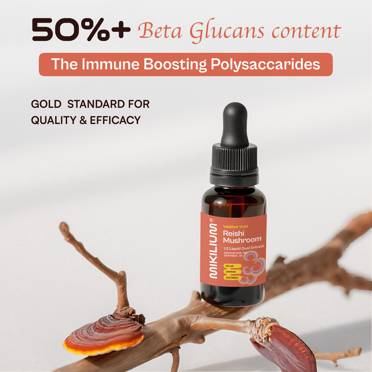 Yawn Yum - Reishi Mushroom Liquid Dual Extract