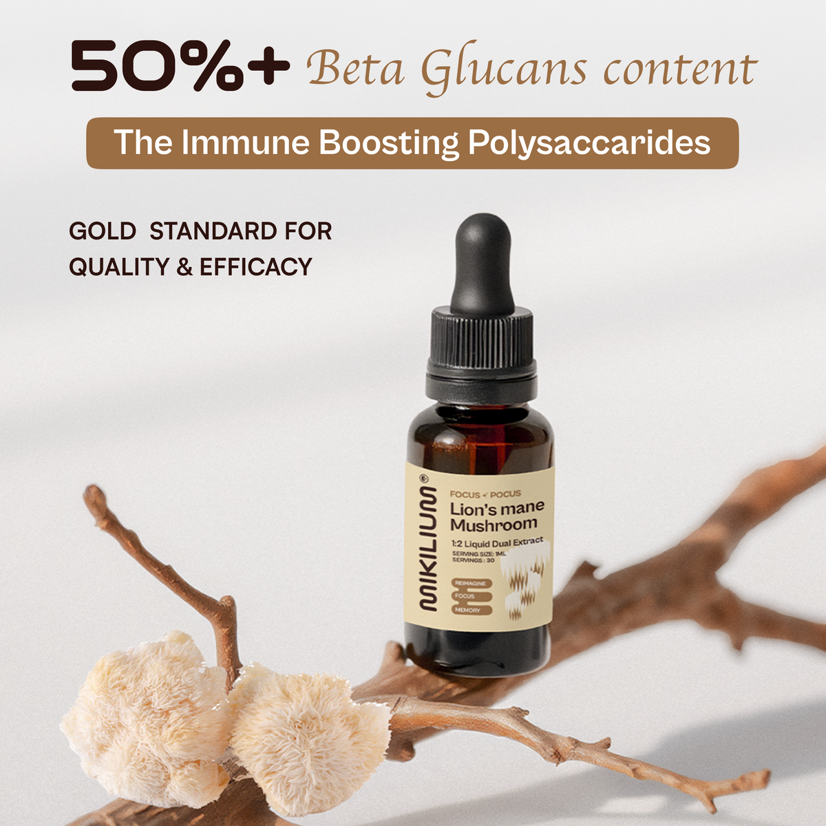 Focus Pocus - Lion's Mane Mushroom Liquid Dual Extract