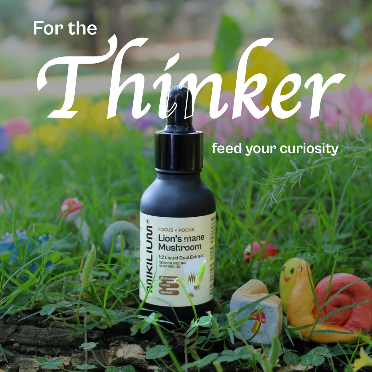 Focus Pocus - Lion's Mane Mushroom Liquid Dual Extract