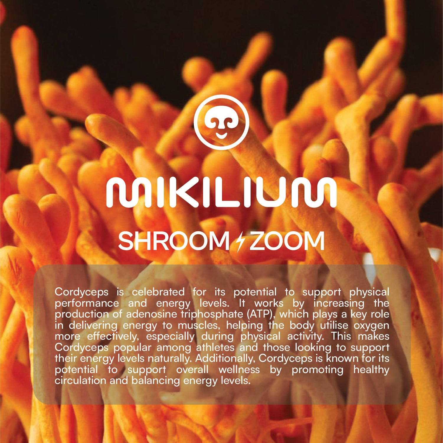 Shroom Zoom - Cordyceps Mushroom Dual Extract Capsules - about