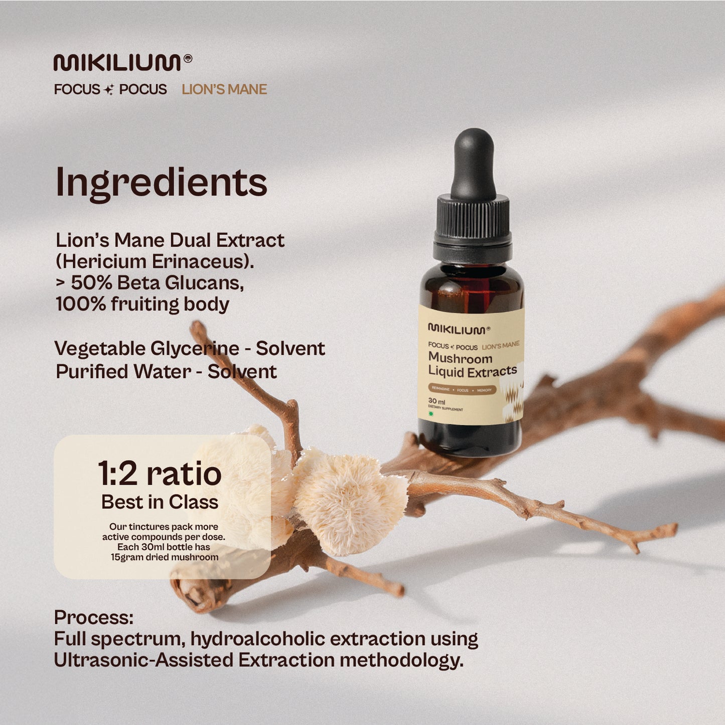 Focus Pocus - Lion's Mane Mushroom Liquid Dual Extract - ingredients