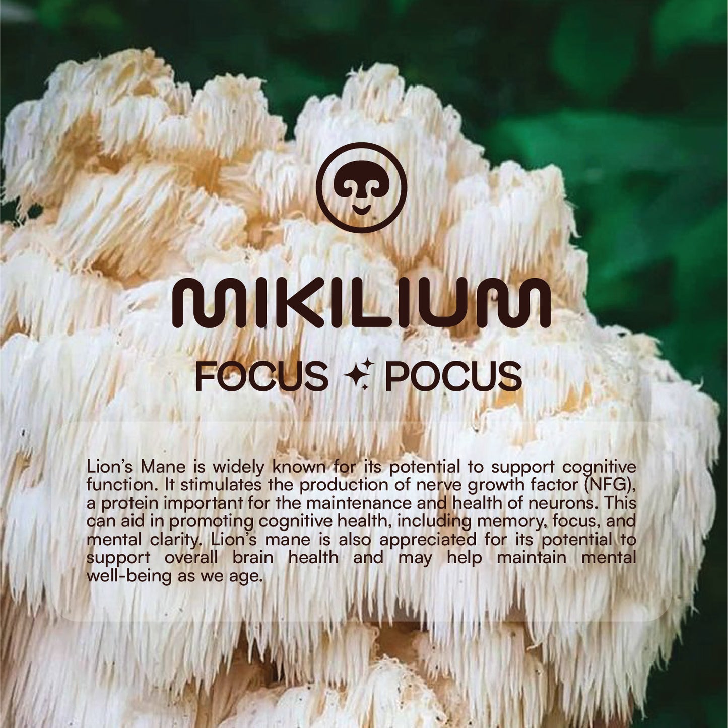 Focus Pocus - Lion's Mane Mushroom Dual Extract Capsules - about