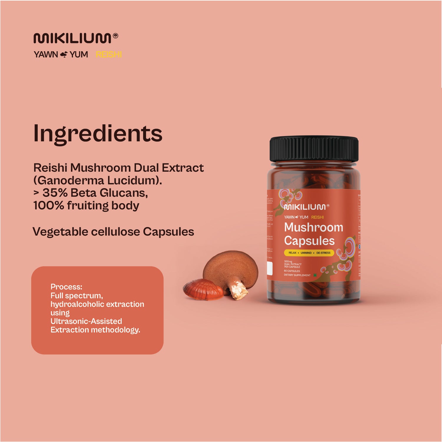 Yawn Yum - Reishi Mushroom Dual Extract Capsules - ingredients