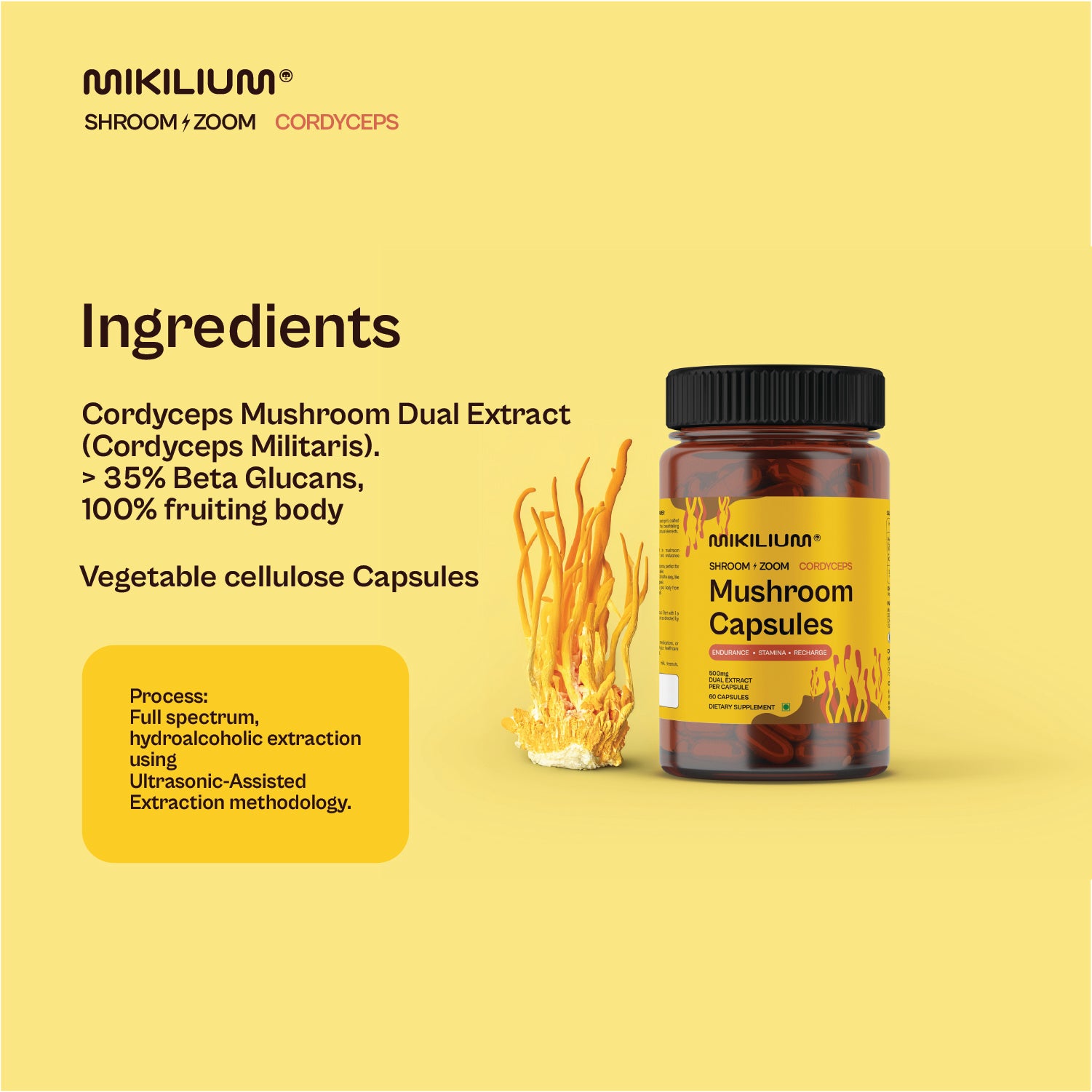 Shroom Zoom - Cordyceps Mushroom Dual Extract Capsules - ingredients