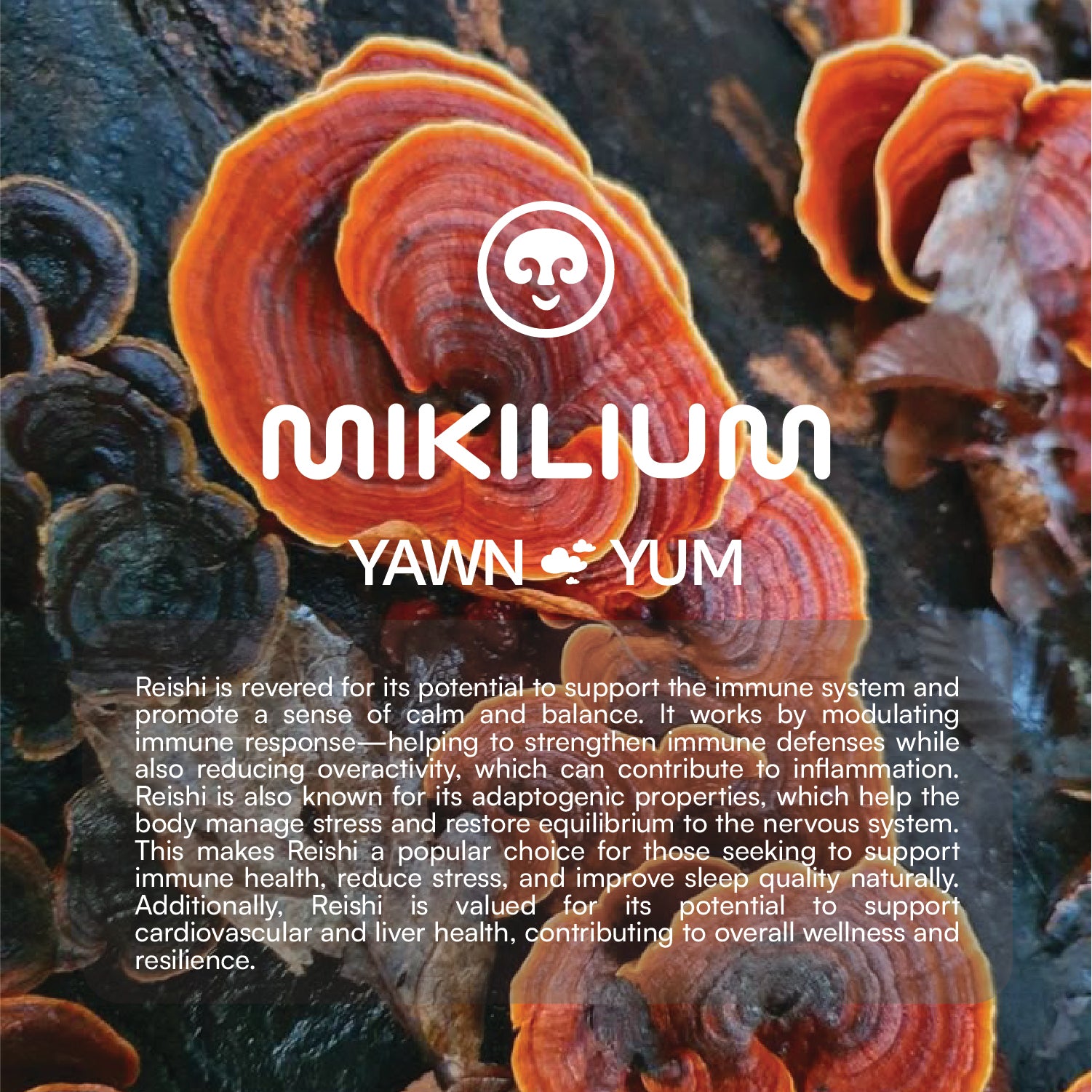 Yawn Yum - Reishi Mushroom Dual Extract Capsules - about
