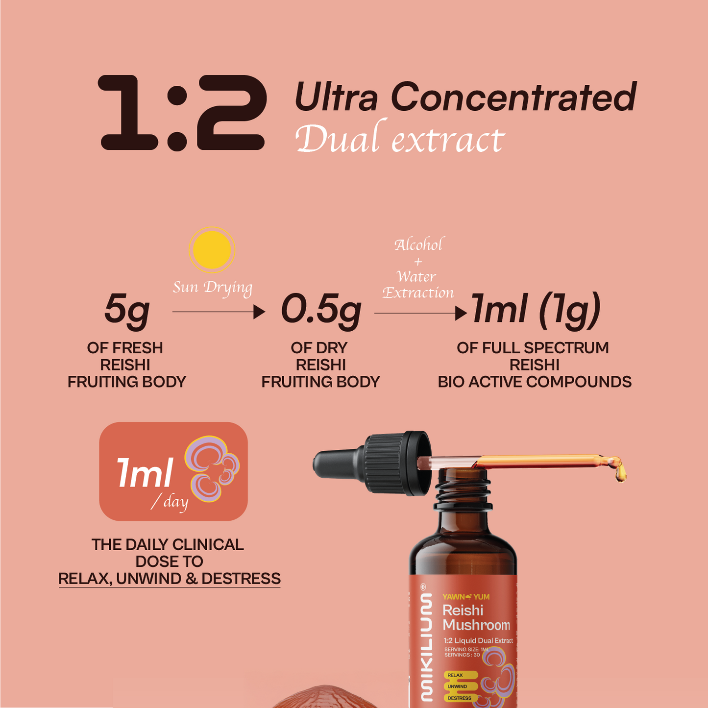 Yawn Yum - Reishi Mushroom Liquid Dual Extract