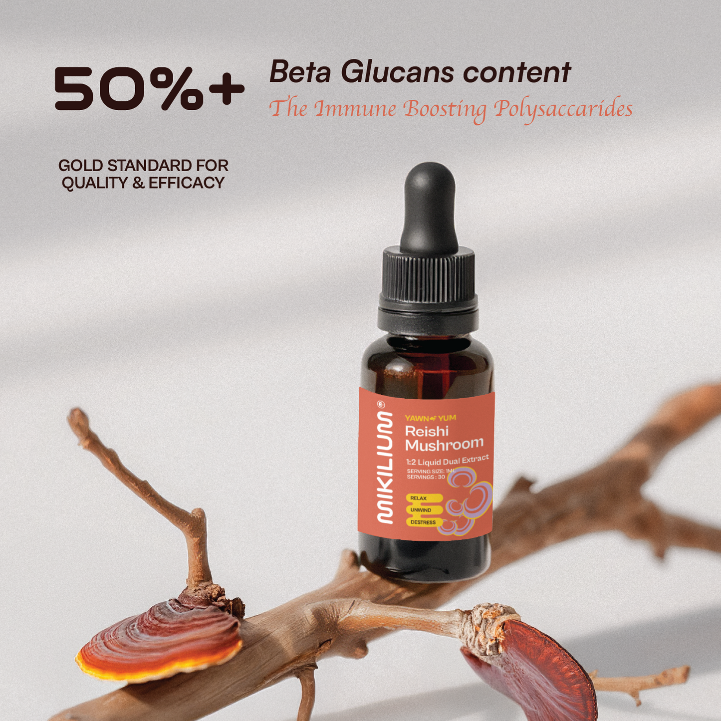 Yawn Yum - Reishi Mushroom Liquid Dual Extract