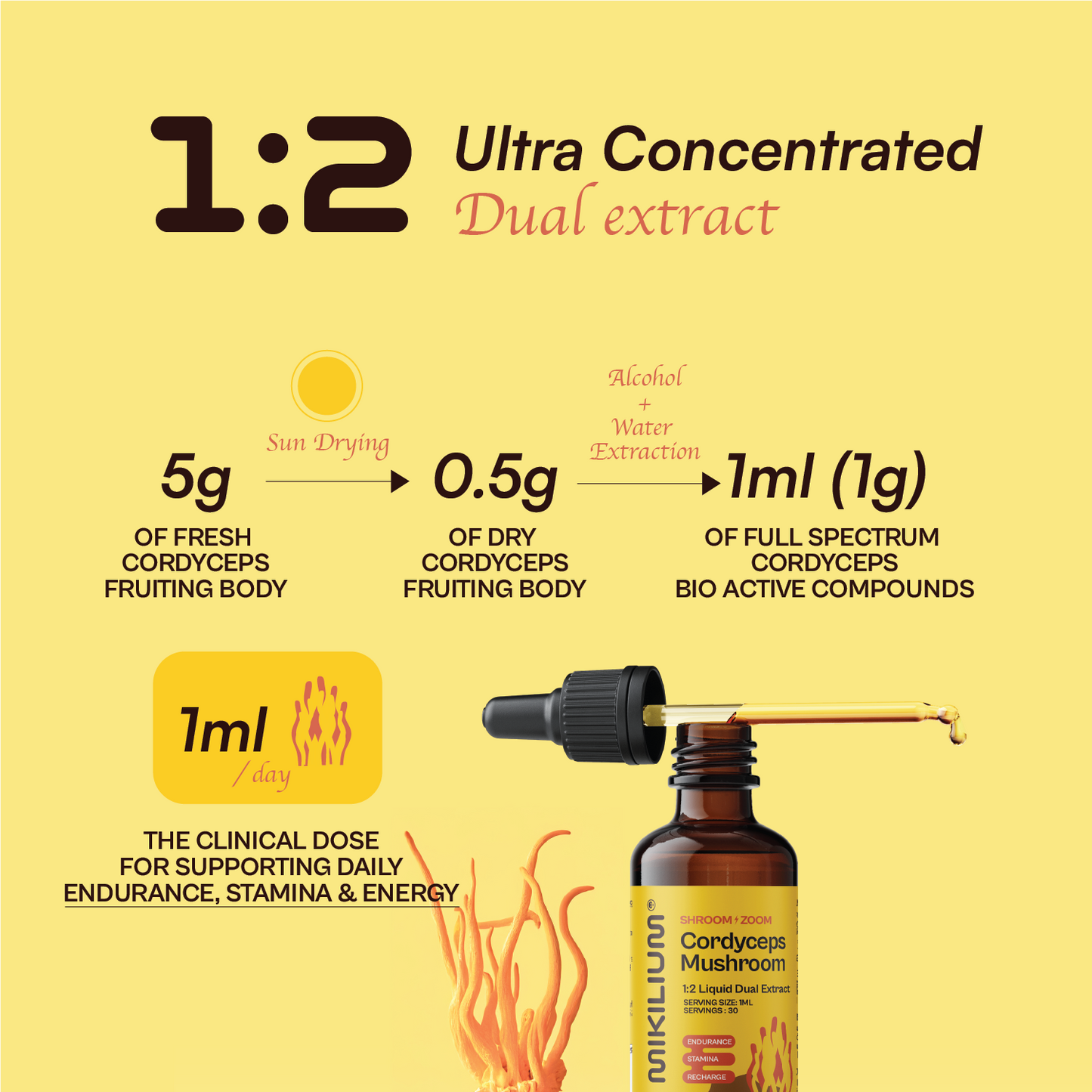 Shroom Zoom - Cordyceps Mushroom Liquid Dual Extract