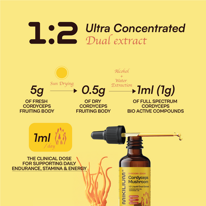 Shroom Zoom - Cordyceps Mushroom Liquid Dual Extract