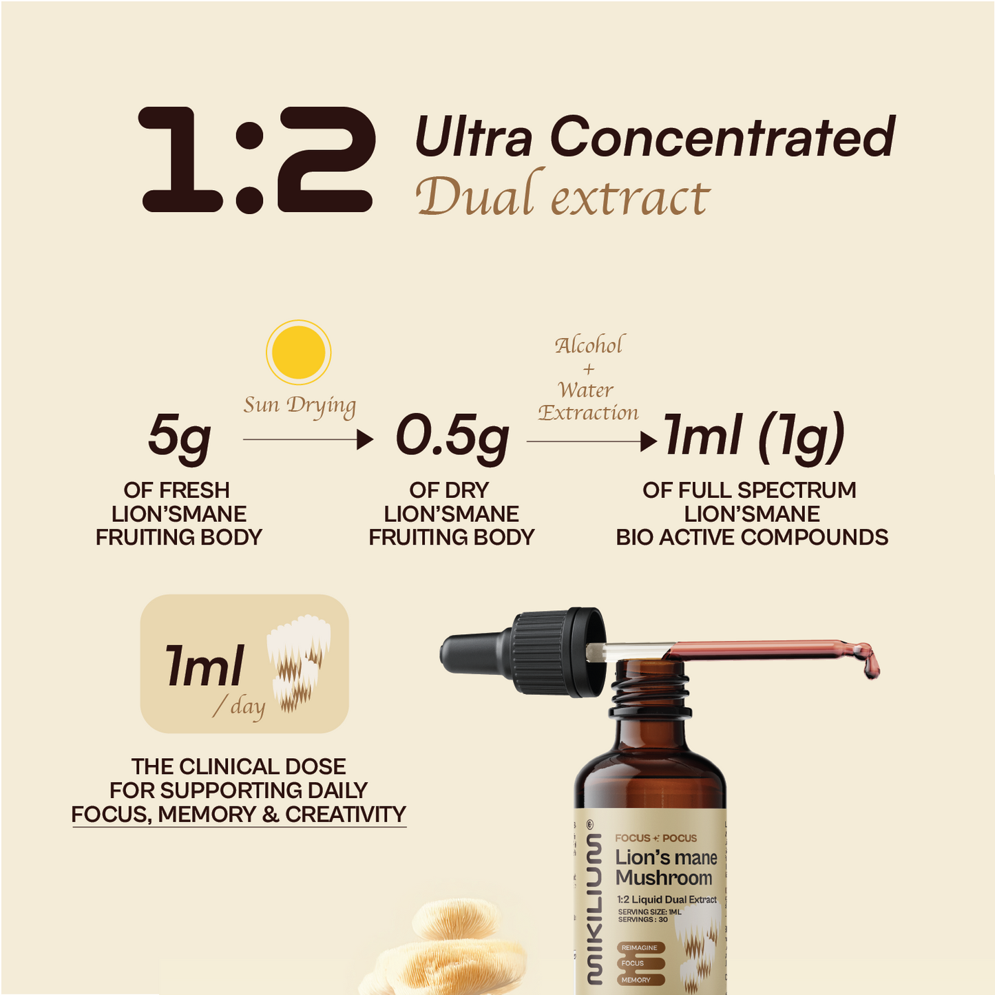Focus Pocus - Lion's Mane Mushroom Liquid Dual Extract