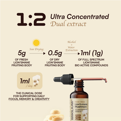 Focus Pocus - Lion's Mane Mushroom Liquid Dual Extract