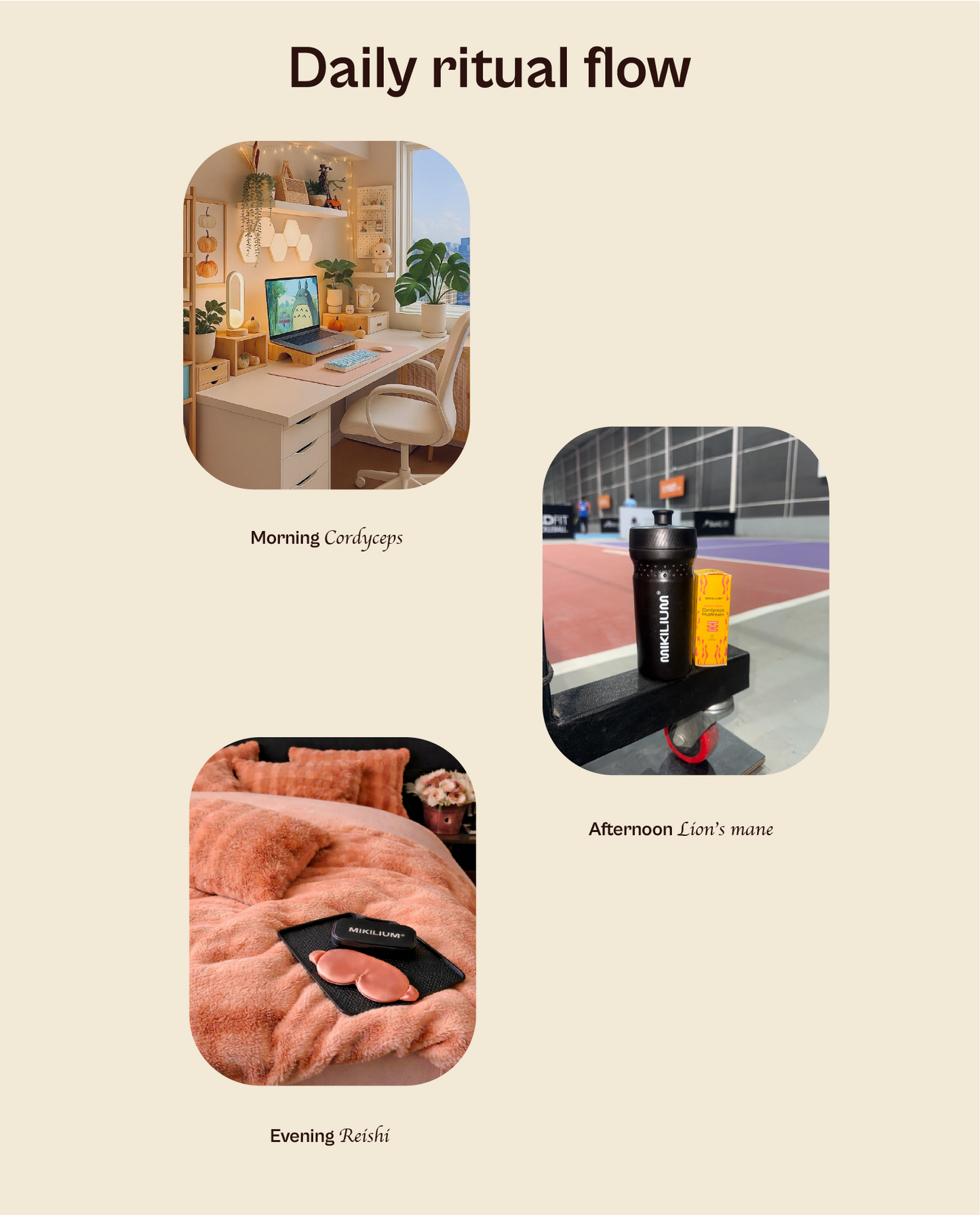 Capsule Essentials for Focus, Sleep and Play