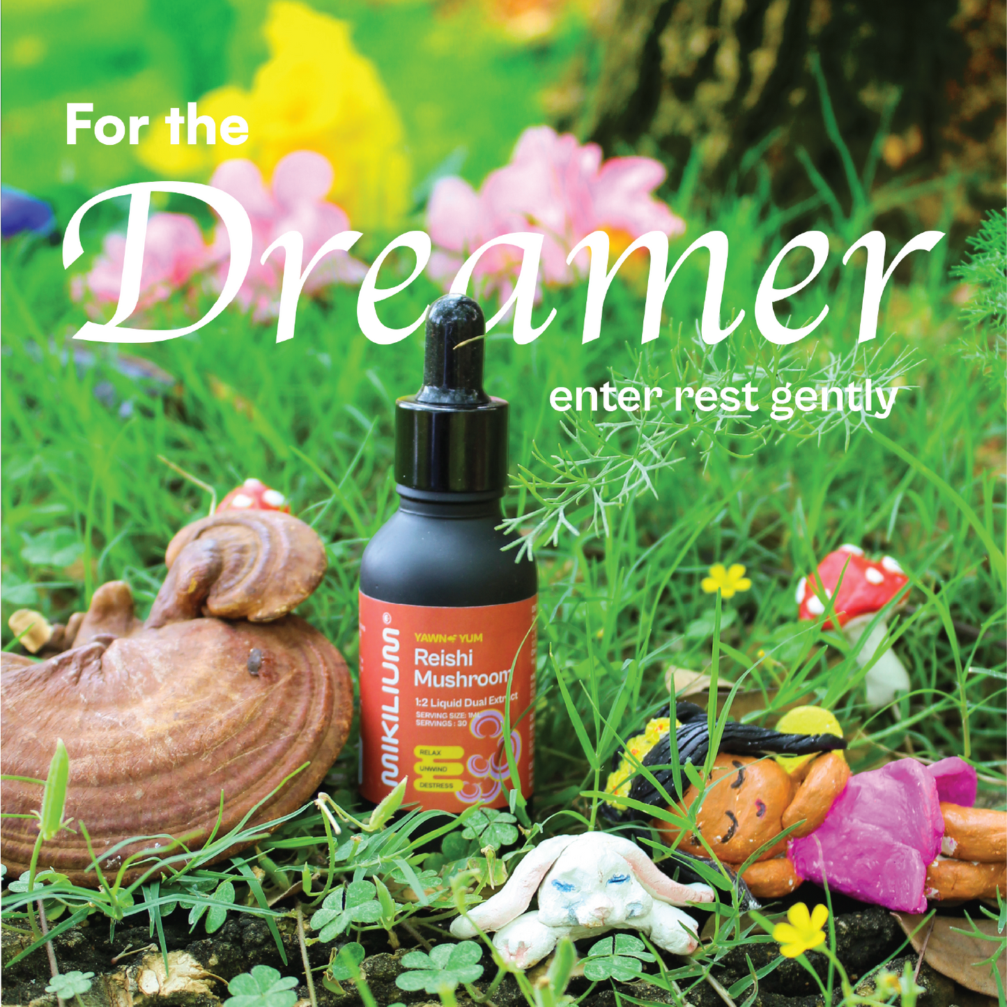Yawn Yum - Reishi Mushroom Liquid Dual Extract