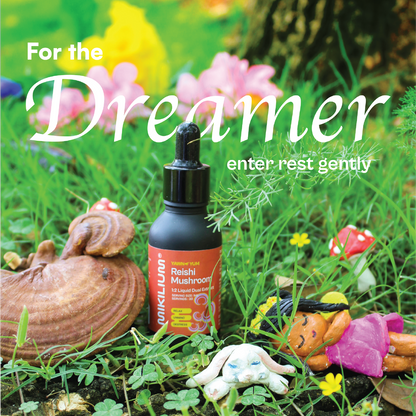 Yawn Yum - Reishi Mushroom Liquid Dual Extract