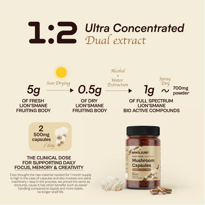 Focus Pocus - Lion's Mane Mushroom Dual Extract Capsules