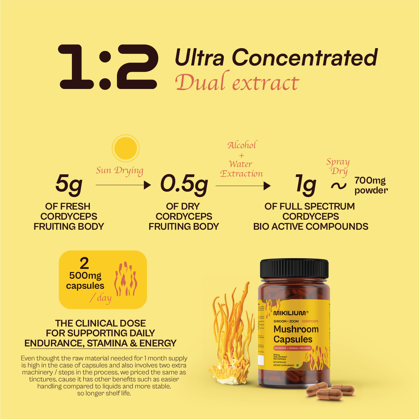 Shroom Zoom - Cordyceps Mushroom Dual Extract Capsules