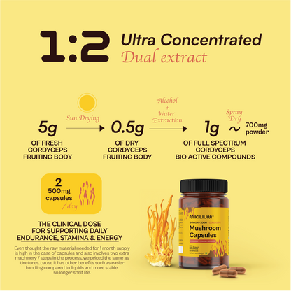 Shroom Zoom - Cordyceps Mushroom Dual Extract Capsules