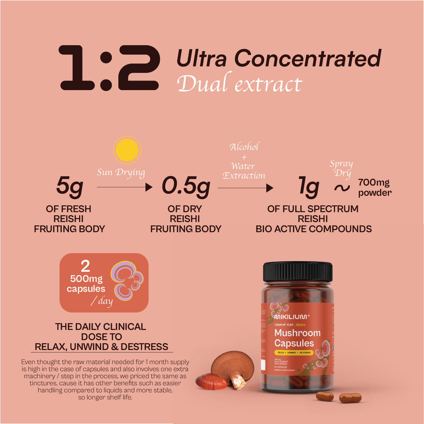 Yawn Yum - Reishi Mushroom Dual Extract Capsules