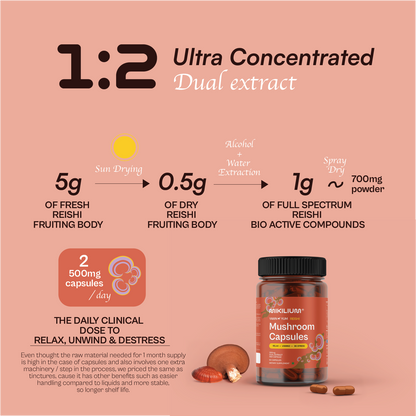 Yawn Yum - Reishi Mushroom Dual Extract Capsules