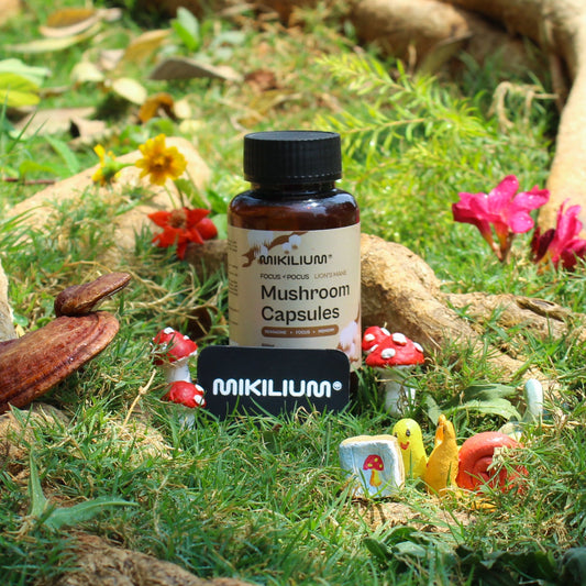 Focus Pocus - Lion's Mane Mushroom Dual Extract Capsules