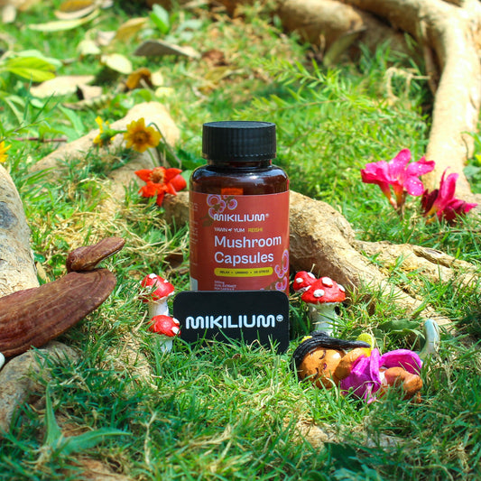 Yawn Yum - Reishi Mushroom Dual Extract Capsules