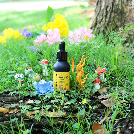 Shroom Zoom - Cordyceps Mushroom Liquid Dual Extract
