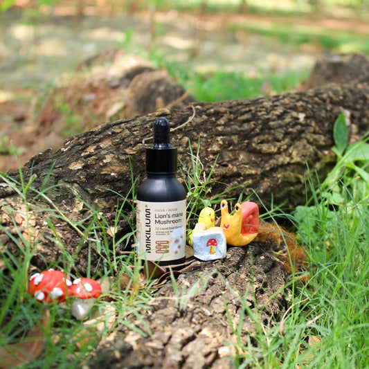 lionsmane mushroom liquid extract
