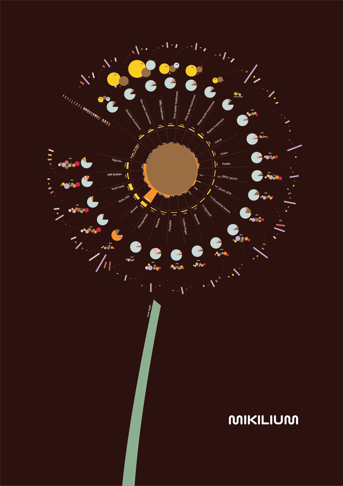 The Dandelion of Nutrition - Free Digital art