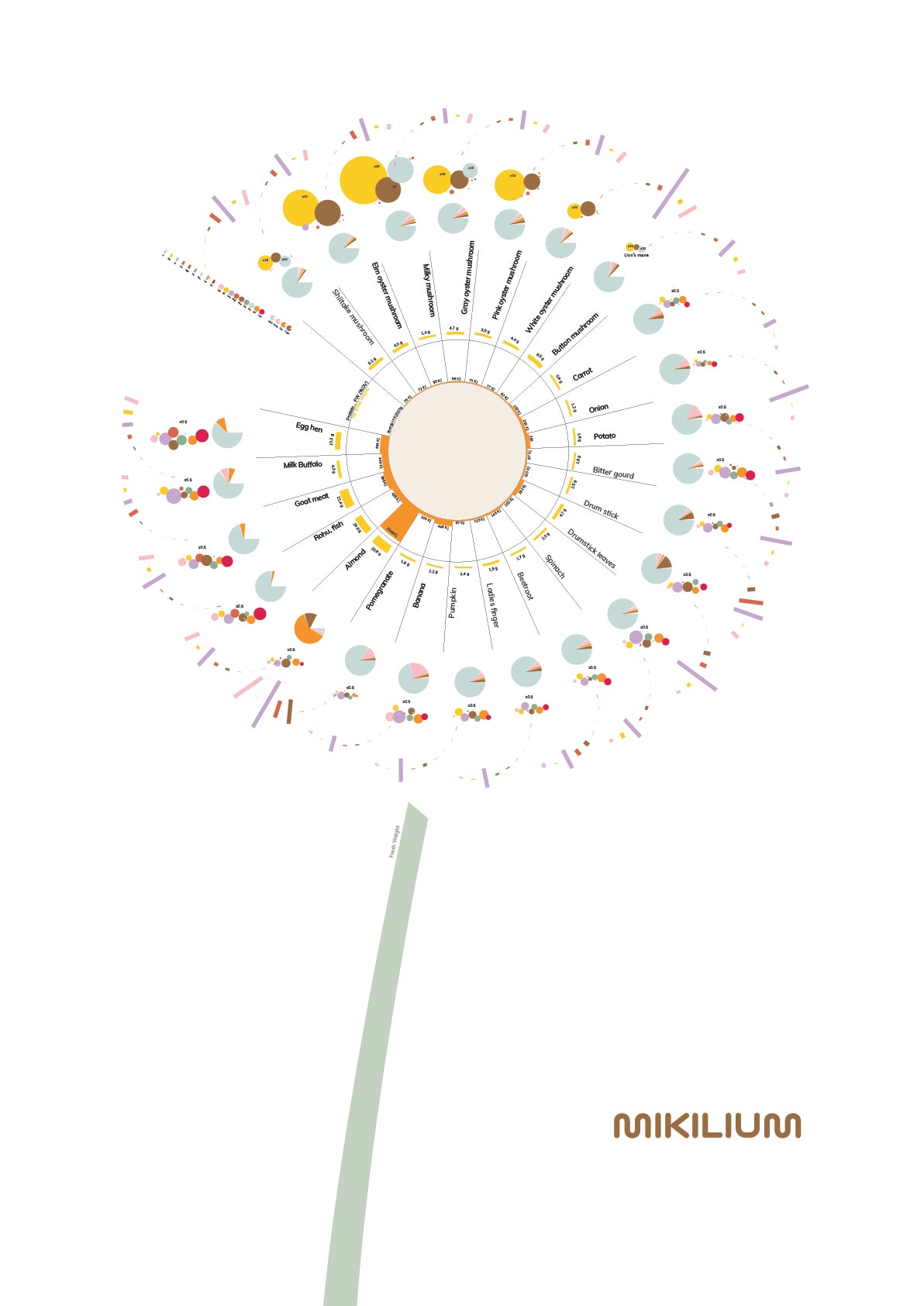 The Dandelion of Nutrition - Free Digital art