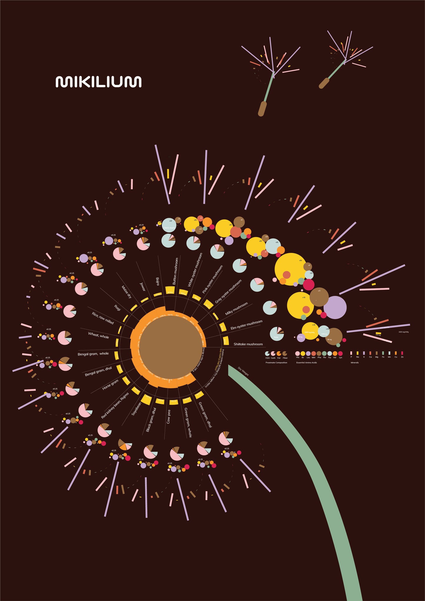 The Dandelion of Nutrition - Free Digital art