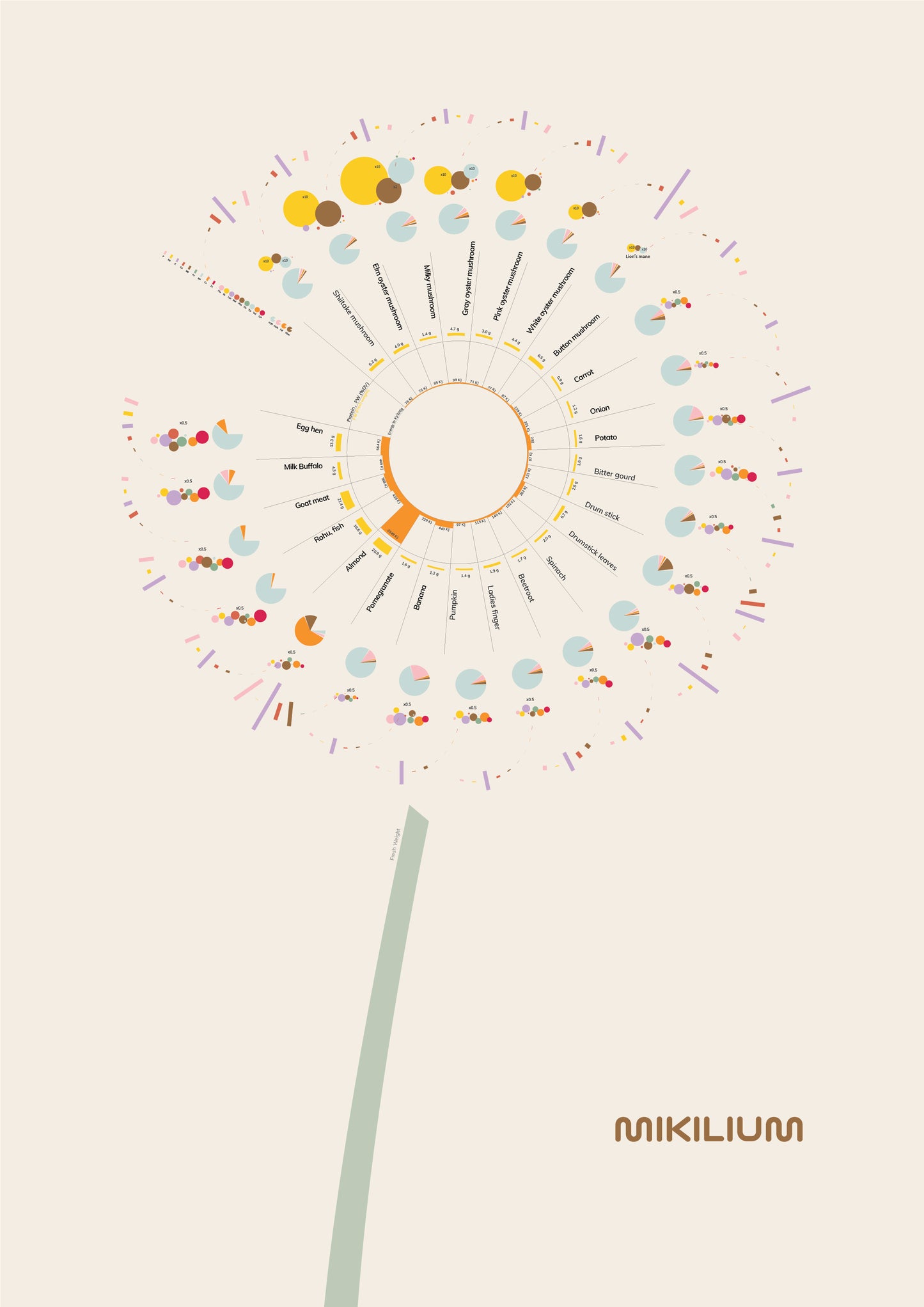 The Dandelion of Nutrition - Free Digital art