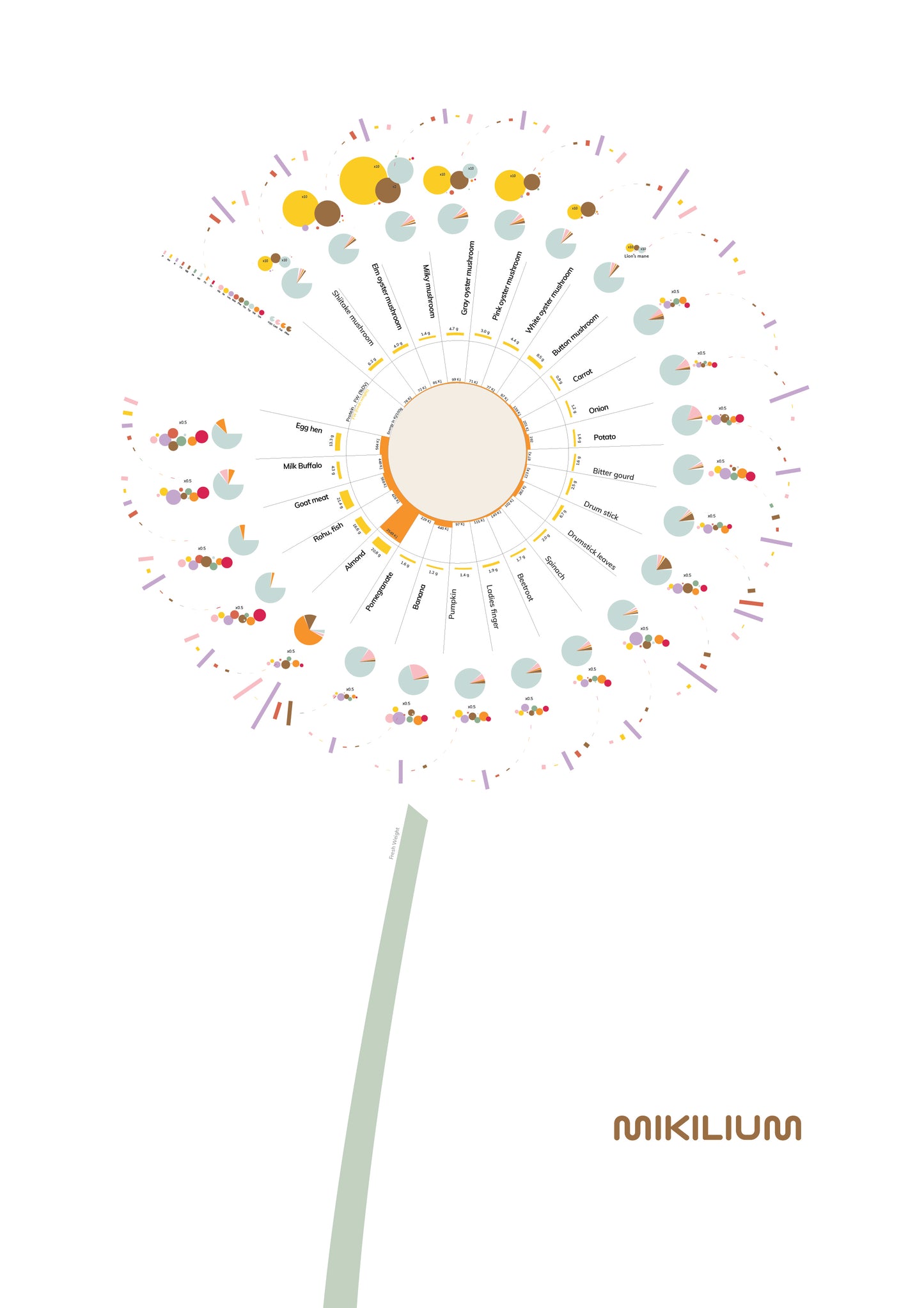 The Dandelion of Nutrition - Free Digital art